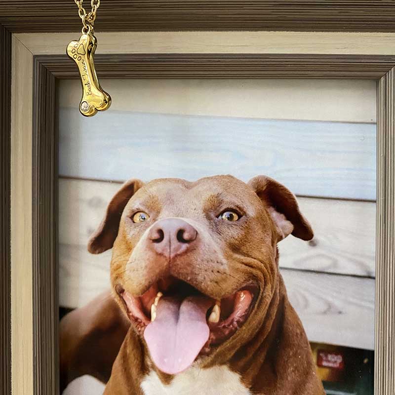 Little Paws Pendant — A Love That Walks With You